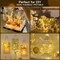 66ft 200 LED Battery Operated Outdoor String Lights, Warm White Fairy Lights with Remote, 8 Modes, Dimmable, Waterproof Twinkle Lights for Bedroom, Patio, Garden, Dorm, Fireplace, Xmas, Party, Indoor/Outdoor (Warm White)
